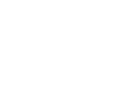 img-vector vector-image